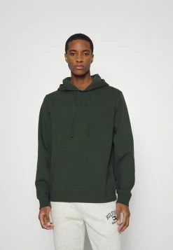 Guess ROY HOODIE - Sweatshirt - Jungle Greens